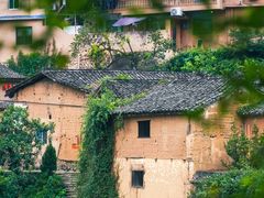 -杨家堂村