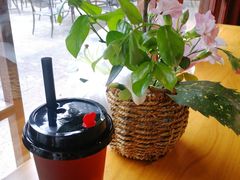 -韬光茶庵