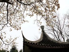 -东航云逸酒店(九溪烟树店)