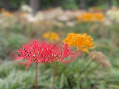 -白塘生态植物园