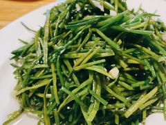 -碧瑶山庄
