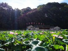 -古田会议纪念馆