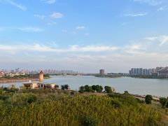 -九龙湖公园
