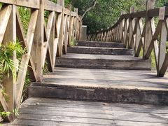 -广州市流溪河国家森林公园