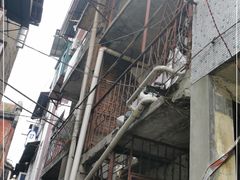 -桂萍特色牛筋牛杂(长堤街总店)