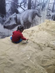 -恐龙探索乐园(磁器口店)