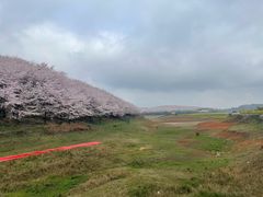 -天河潭旅游度假区