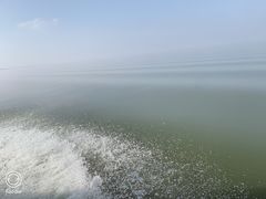 -洪湖生态旅游区