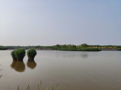 -西青郊野公园
