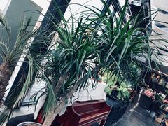 -北马山庄植趣咖啡