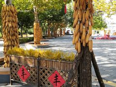 -北戴河集发农业梦想王国