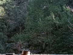 -藏龙百瀑风景区