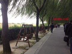 iphone_upload_pic-三山岛