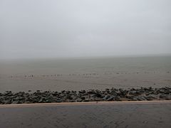 -深圳湾公园(南山区)