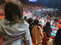-广州长隆国际大马戏