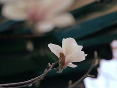 -迎泽公园
