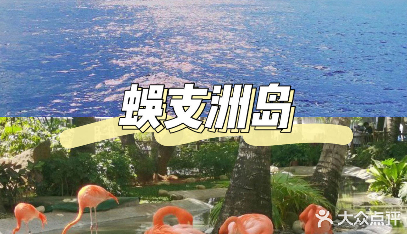 不容错过的三亚旅游小贴士