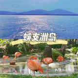 不容错过的三亚旅游小贴士