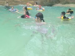 -杭州开元森泊度假乐园