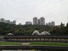 -龙头寺公园