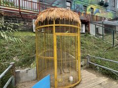 -北京鹿世界主题园