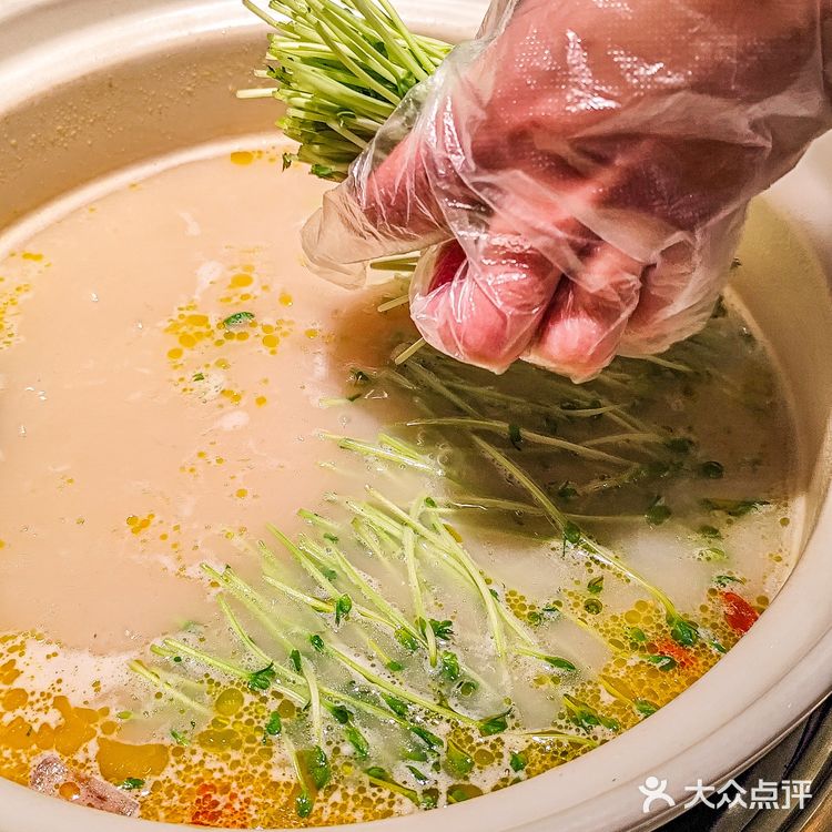 猪肚鸡烫野菜！汤底都被男朋友喝光了！