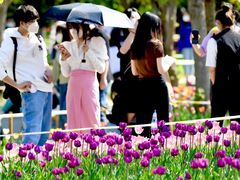 -长春公园(普阳街道)