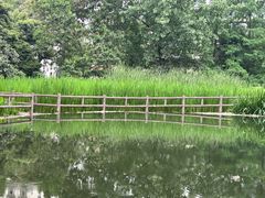 -成都市活水公园