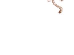 iphone_upload_pic-艾薯夫妇Aysh(福田星河COCOPark店)
