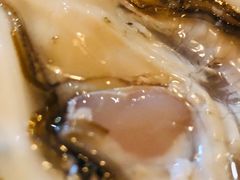 -斯普汇生蚝牛排馆(中骏世界城店)