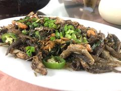 紫苏炒山坑鱼-天强农家菜馆