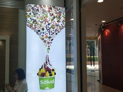 -Salud撒露欧洲冻酸奶(蓝色港湾店)