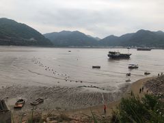 -北岐滩涂
