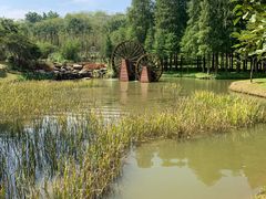 -森波拉奇妙世界