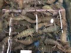 -明记海鲜大排档(巽寮湾店)