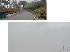 -杭州半山国家森林公园