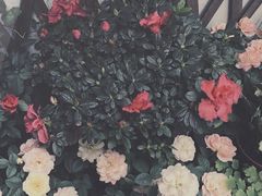 -隅cafe(傅厚岗店)
