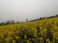 -中国天府农业博览园