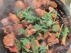 -梨木台悦来客农家院