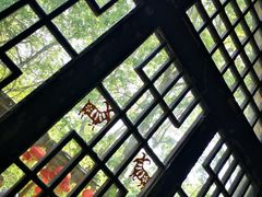 -云丘山景区
