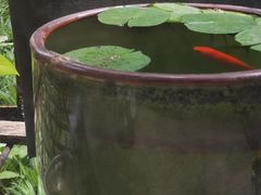 -德兴馆(山西南路店)