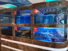 活鱼池-巴特餐饮6加1音乐餐吧·新疆菜