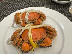 -元一希尔顿酒店·鲜切牛肉火锅禅自助餐厅