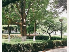 -中国人民解放军空军特色医学中心(空军总医院)