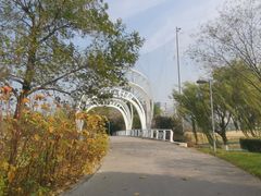 -九里河湿地公园