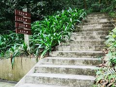 -广州市帽峰山景区