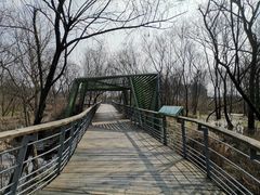 -西湖风景区-江洋畈生态公园