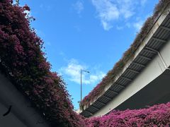 -悦林汤馆(观海店)