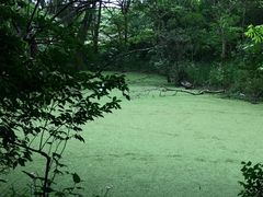 -广富林郊野公园