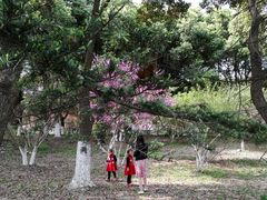 -昆山城市生态森林公园